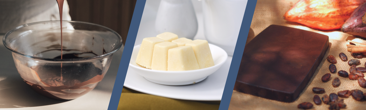 Woman holding cocoa fruit